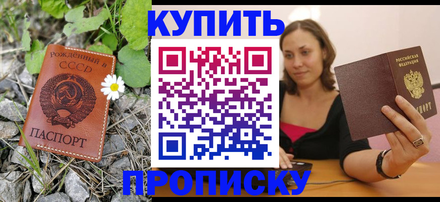 прописка поиск в Оренбурге